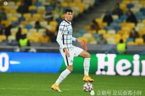 kaiyun-今夜突围战来临，深圳男篮围绕意甲外线爆发，震撼外界，数据趋势出现新变化的简单介绍