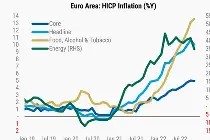 开云APP-瓦伦西亚俱乐部历史