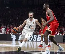 包含转会期多特蒙德调整名单以备欧篮联，门线救险环节打磨，引发热议，团队化学反应显著的词条