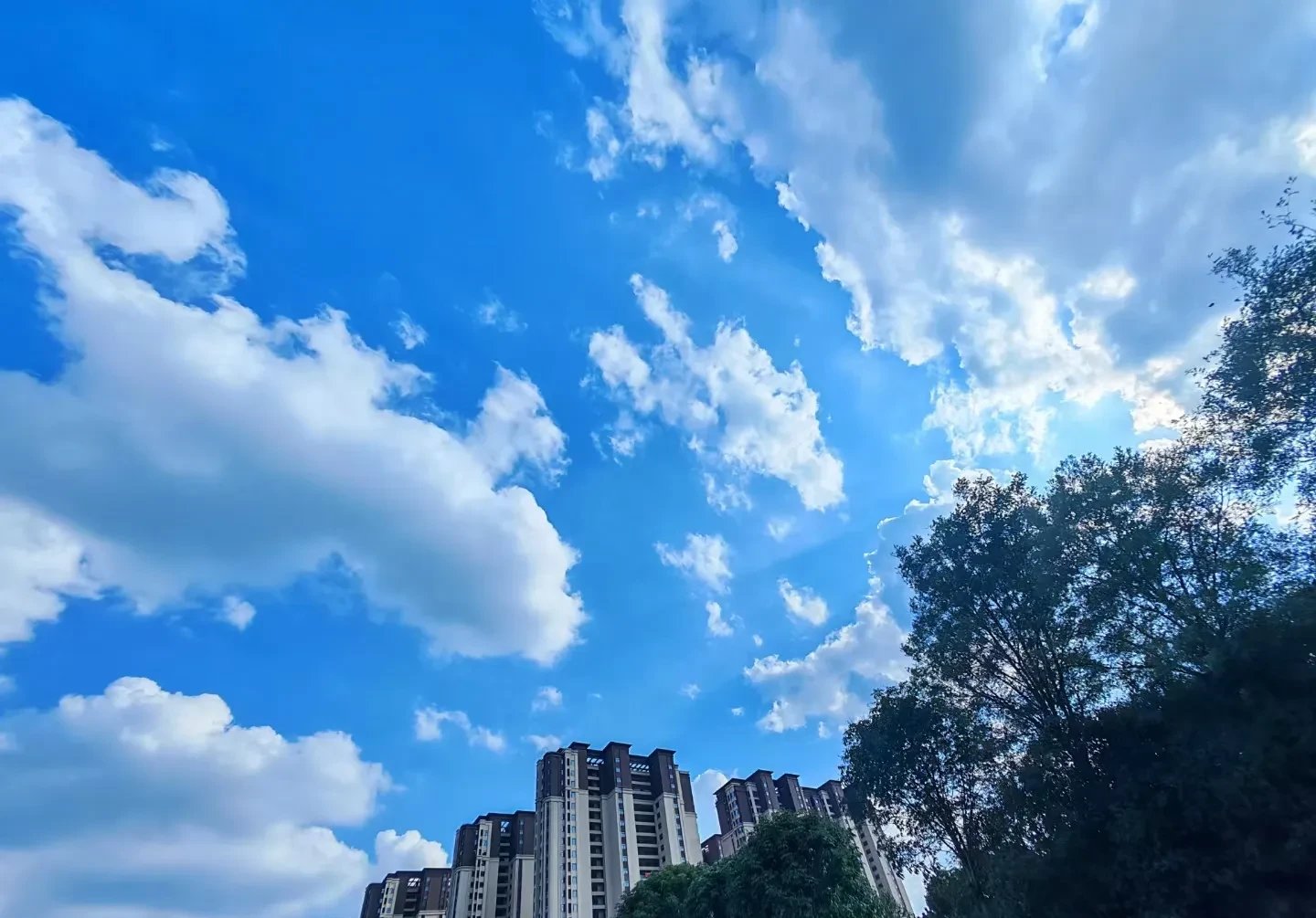 转折点！上海久事临场应变，亚冠冲刺阶段攻防权衡，更衣室稳定，身体对抗强度拉满的简单介绍